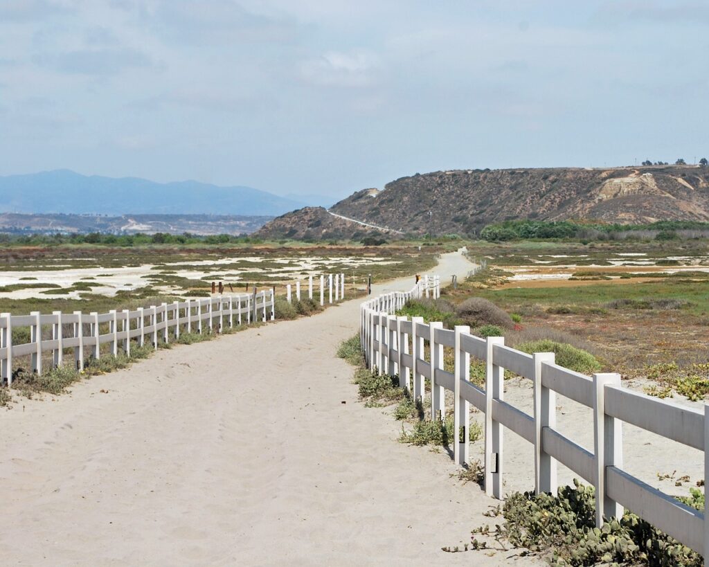 beach, path, san diego